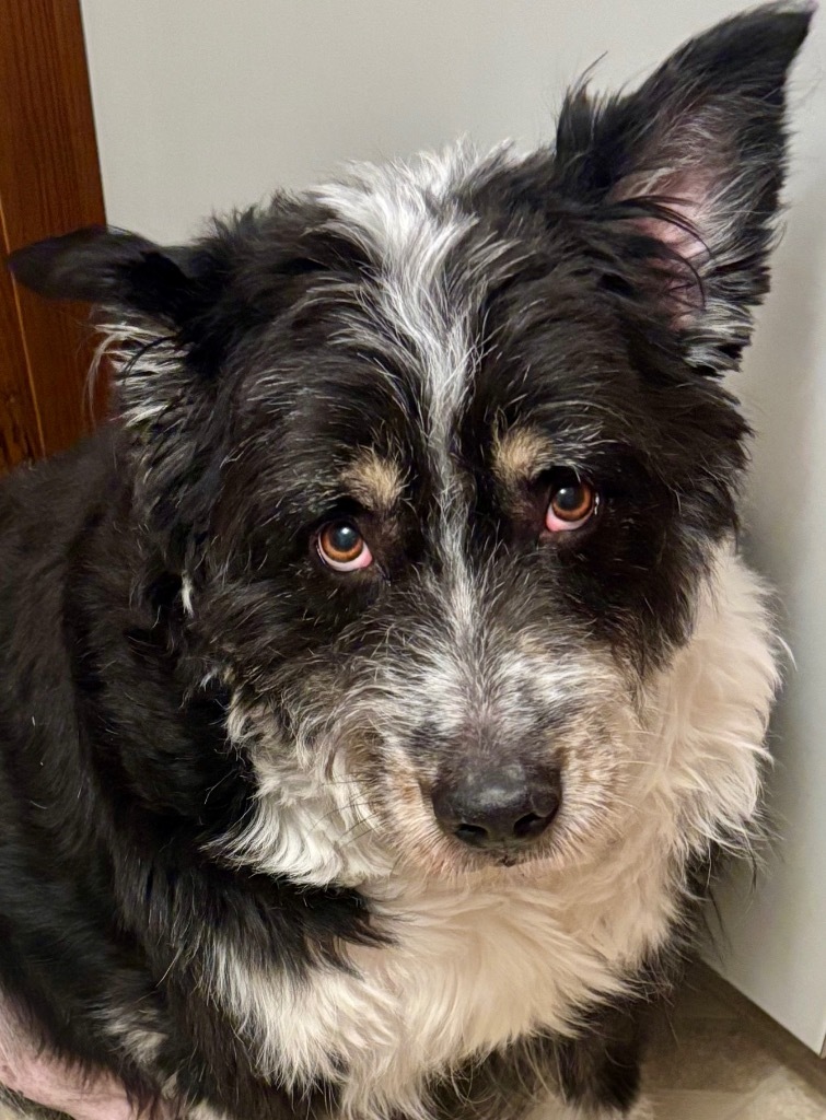 Einstein