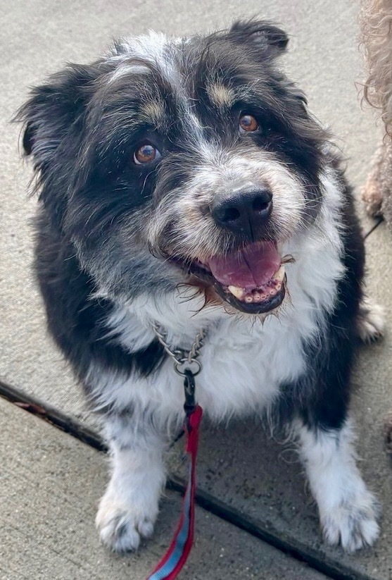 Einstein