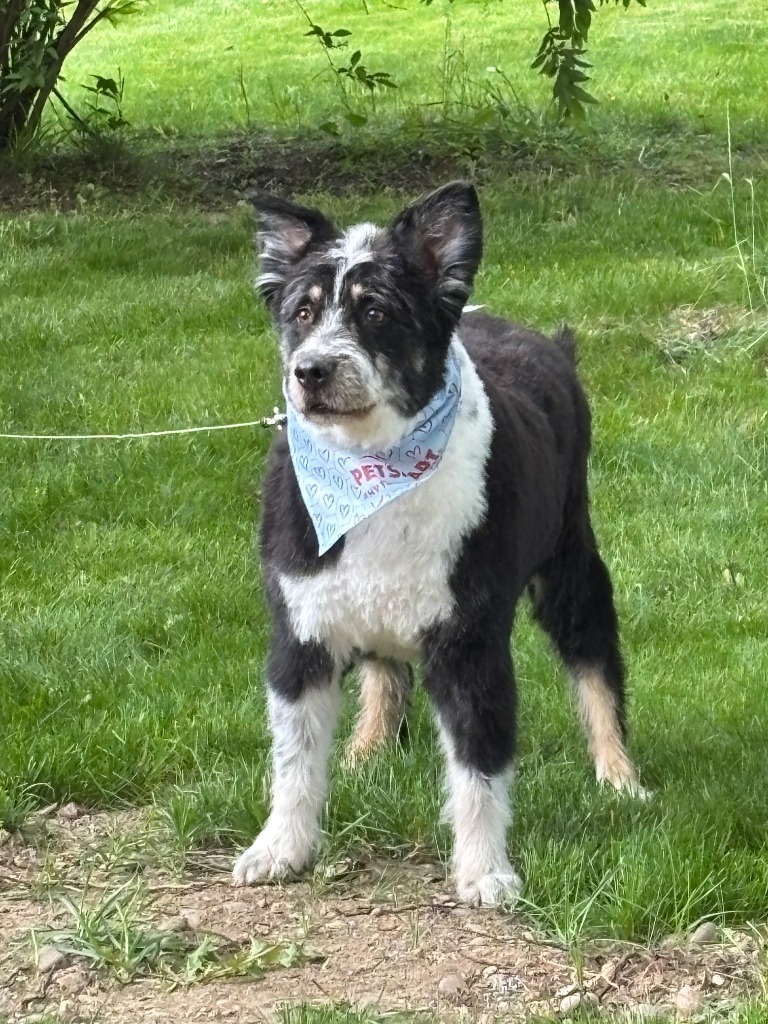 Einstein