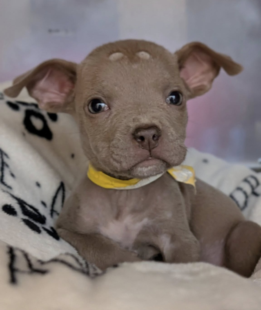Winnie