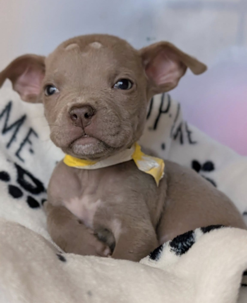 Winnie