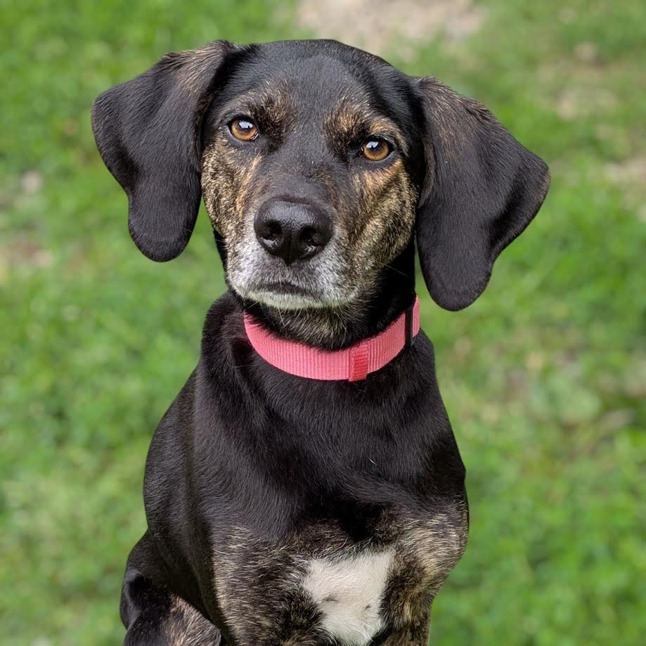 Ella