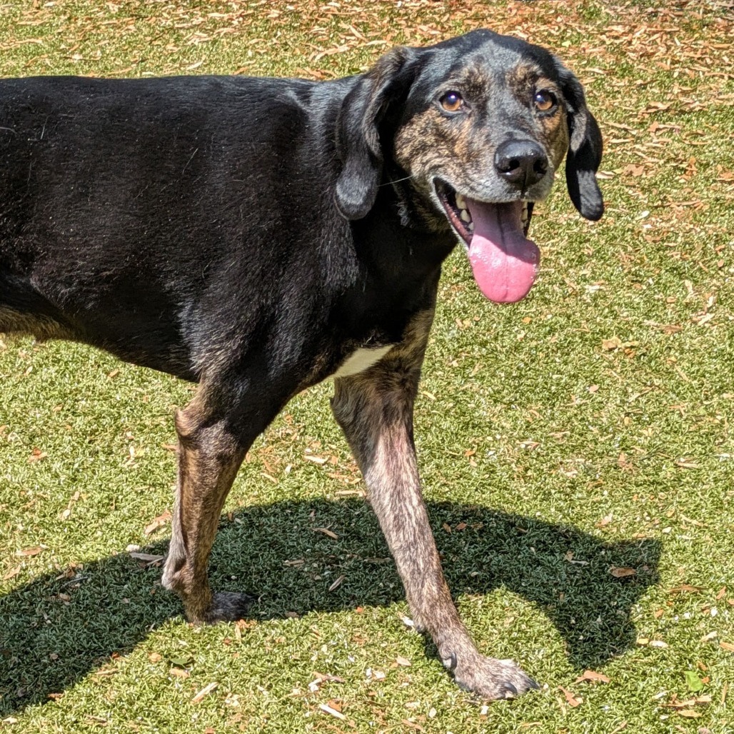 Ella