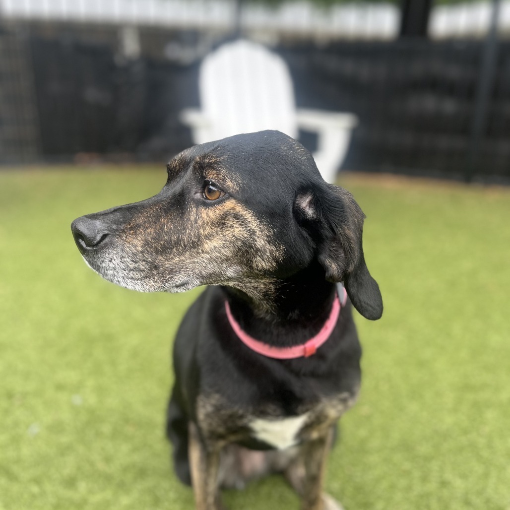 Ella