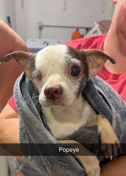 Popeye