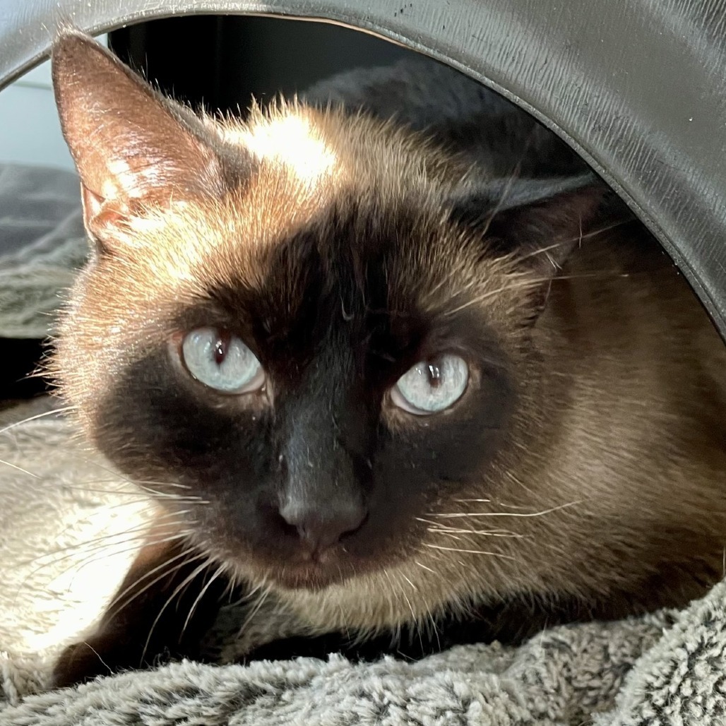 Jax
