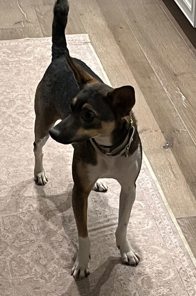 Penny