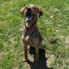 Atticus photo 6
