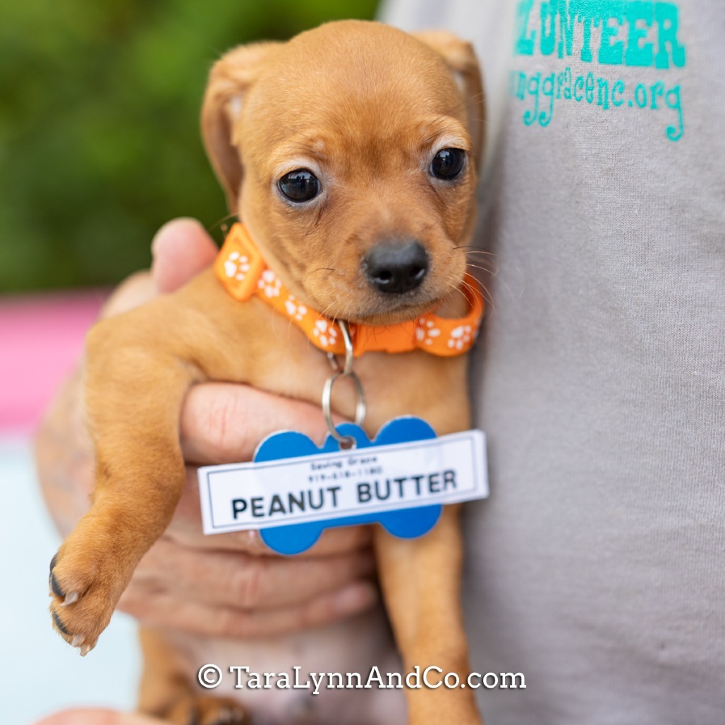 Peanut Butter