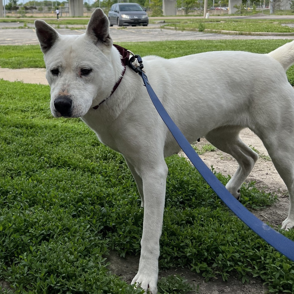 Yuki
