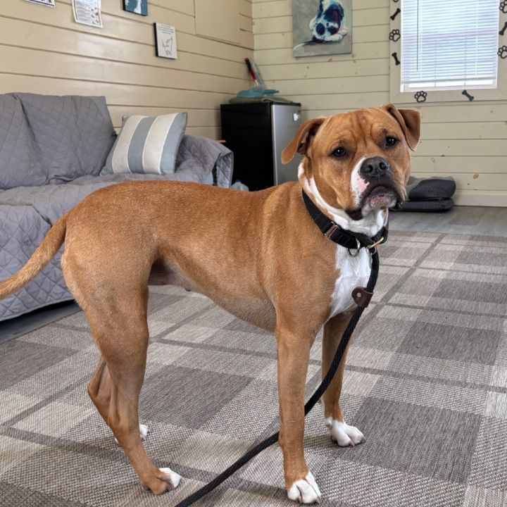 Sadie 6