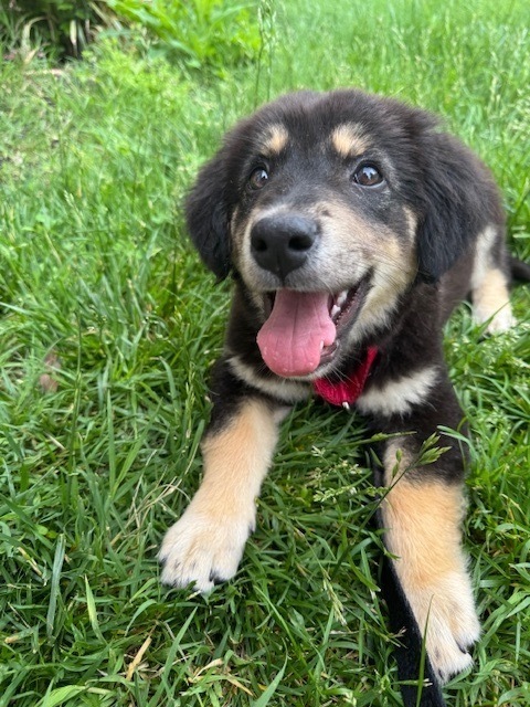 Baby Nutella