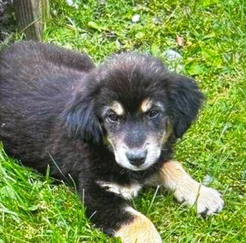 Baby Nutella