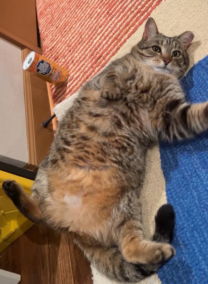 Tubbs