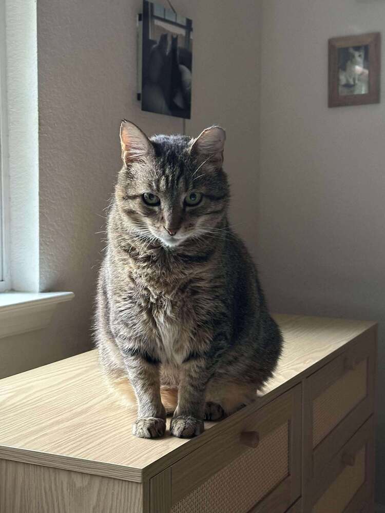 Tubbs