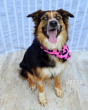 Jesse