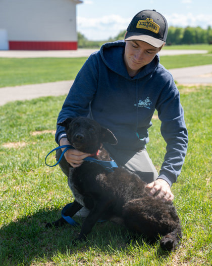 Spring, an adoptable Curly-Coated Retriever, Mixed Breed in Pequot Lakes, MN, 56472 | Photo Image 2