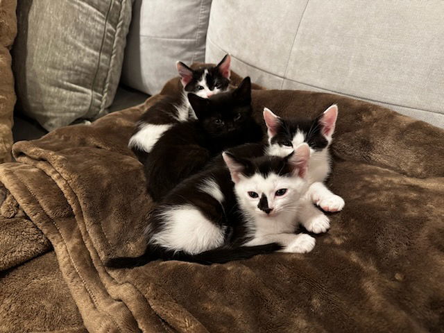 Steve (& Bugsby) bonded