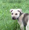 Murphy photo 3