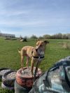 Drax photo 6