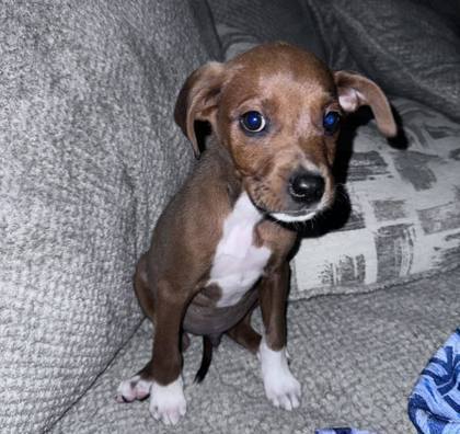 Roscoe
