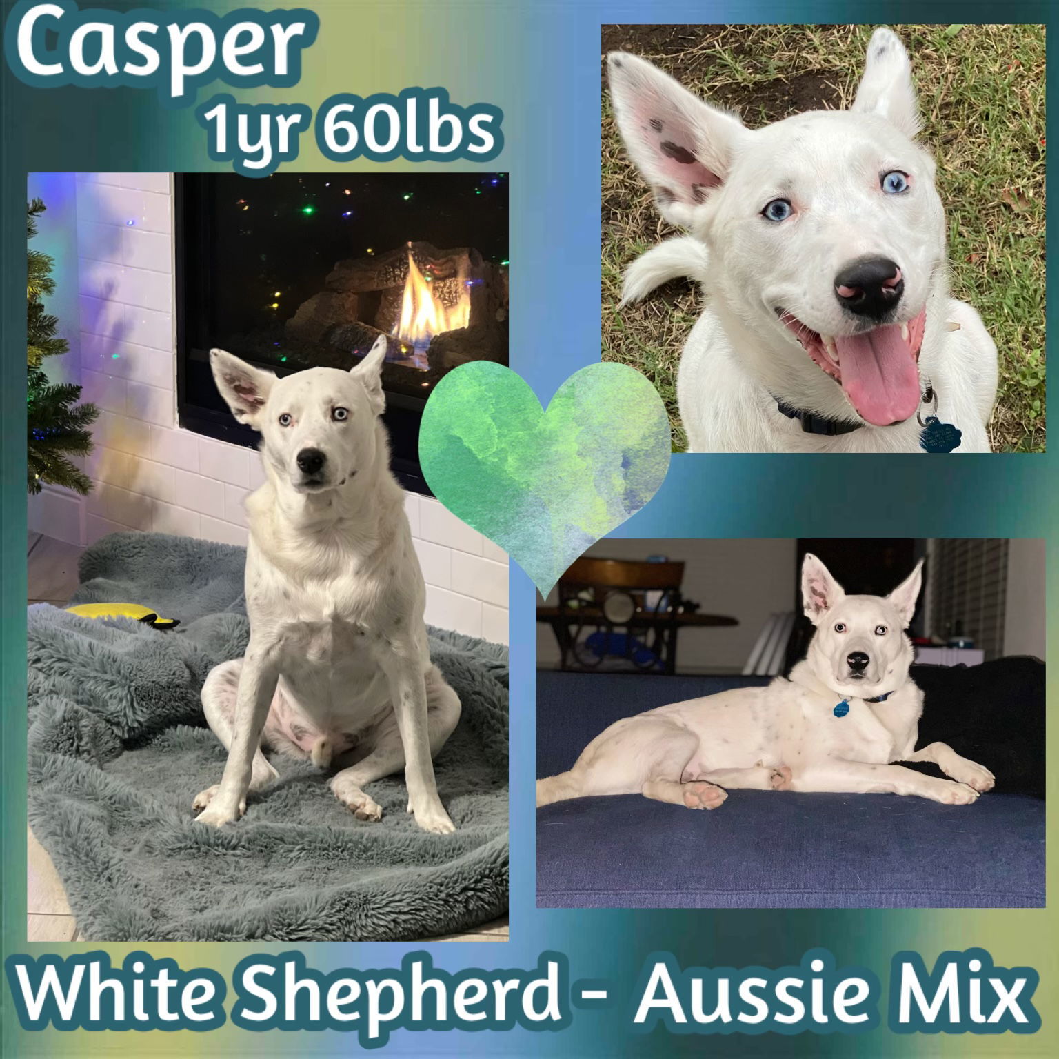Casper