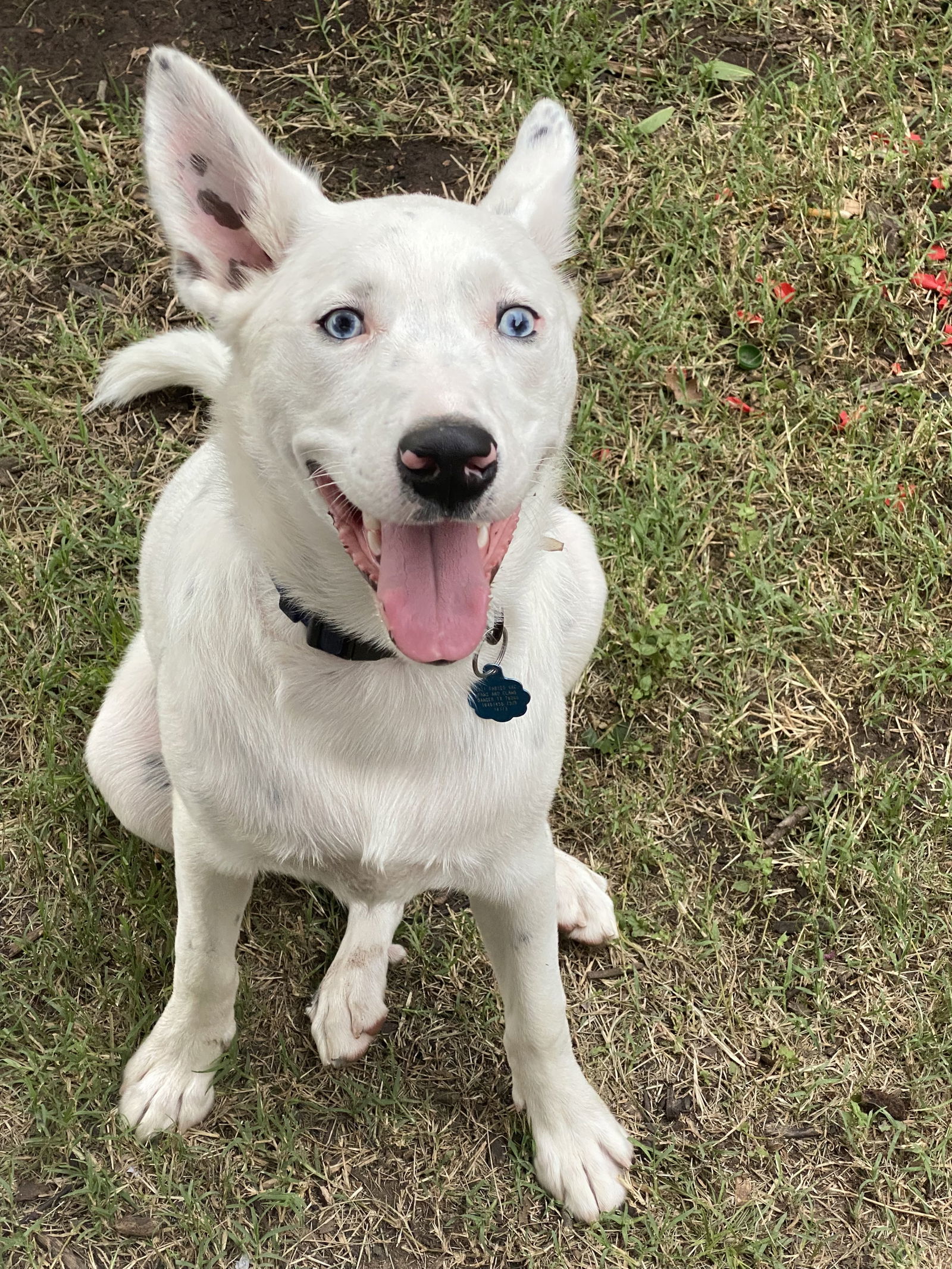 Casper
