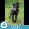 Reese (Cocoa Crew) 051025 photo 6