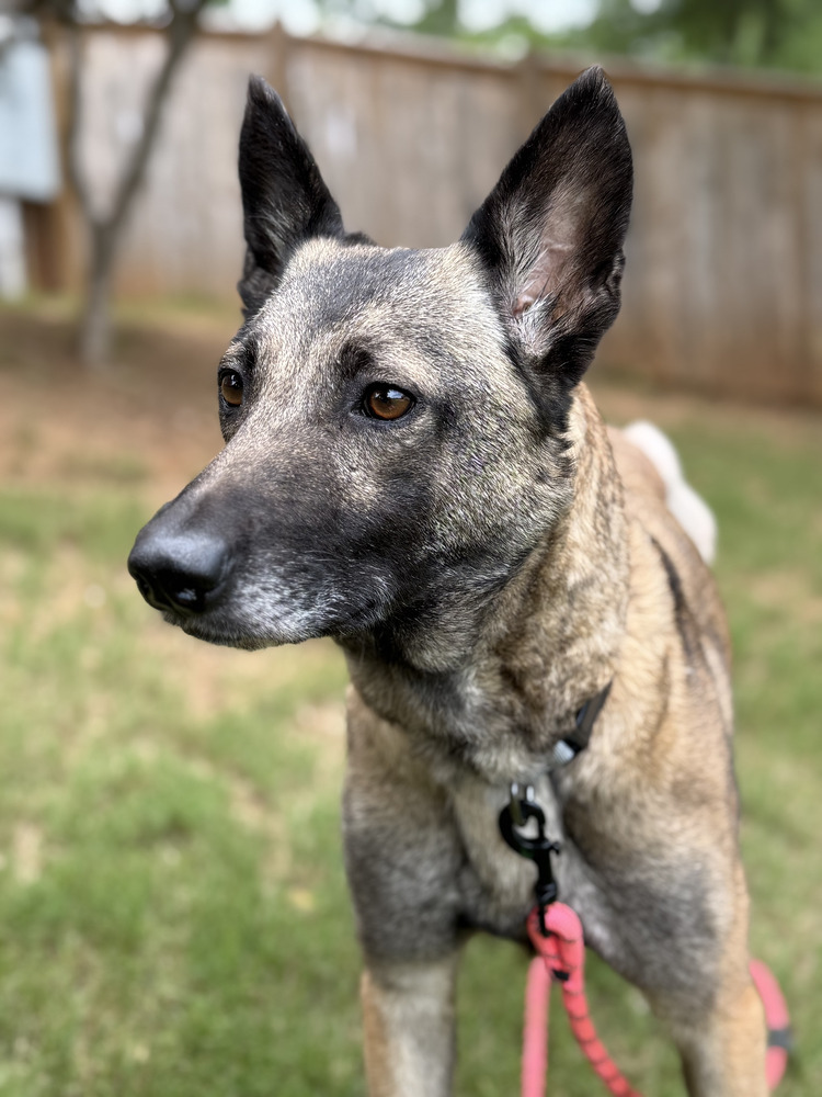 Precious- Located in Georgia