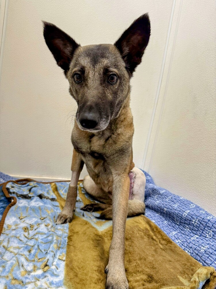 Precious- Located in Georgia