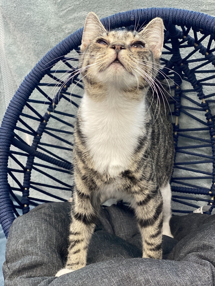Bilbo