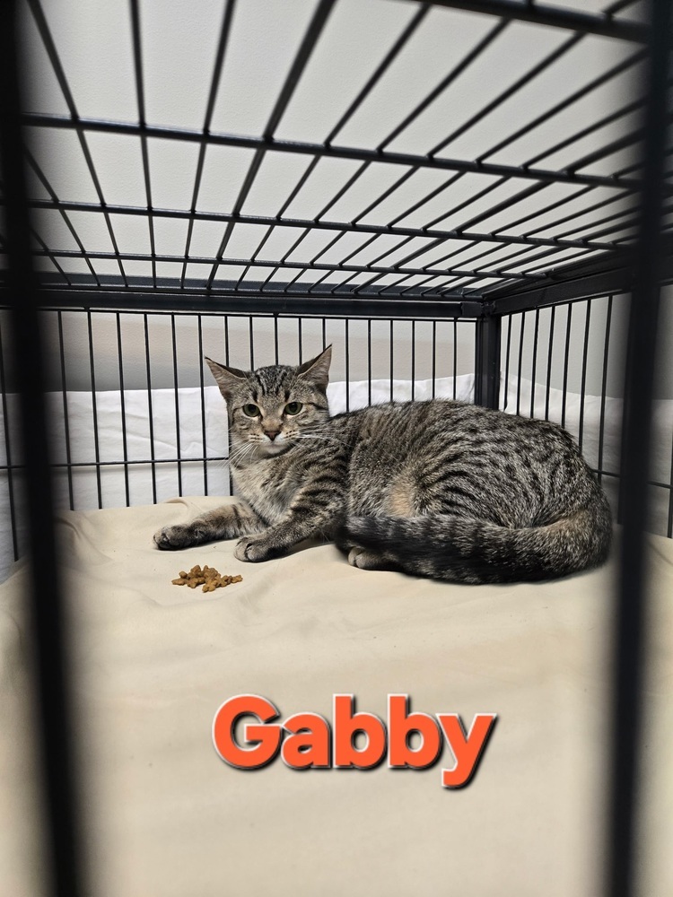 Gabby