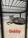 Gabby photo 2
