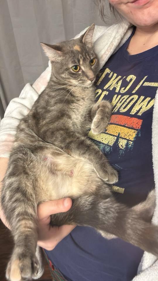 Tia