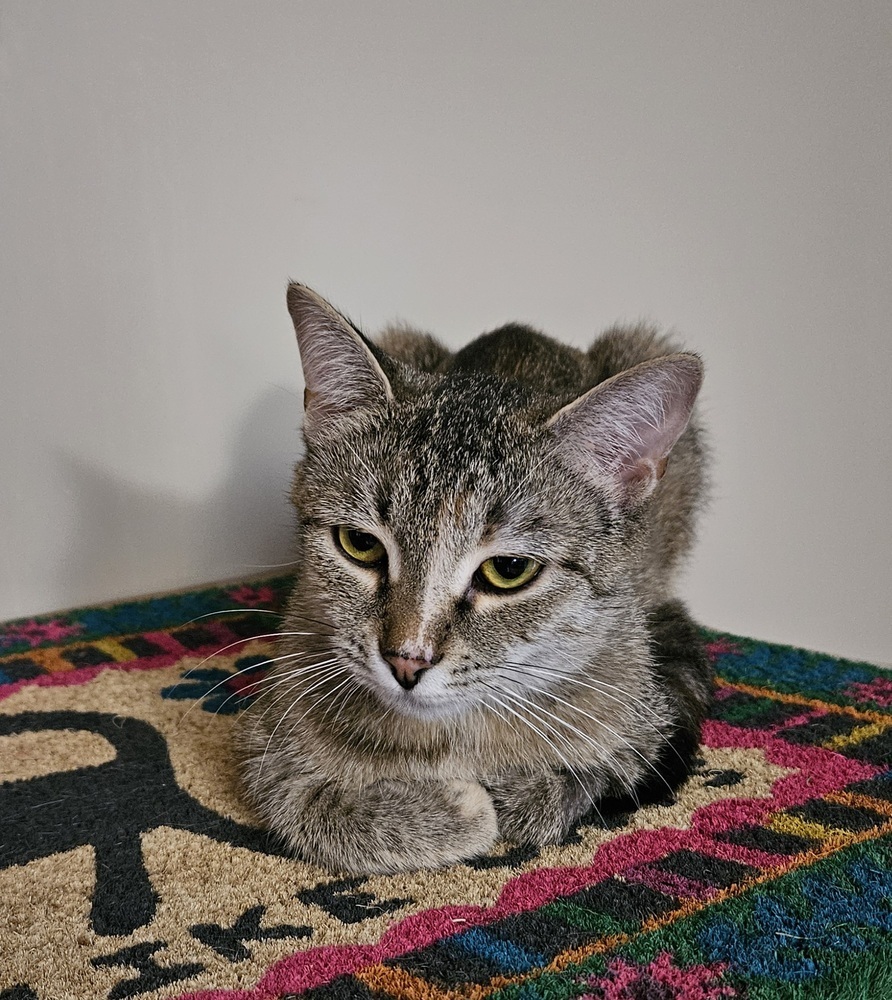 Bonnie