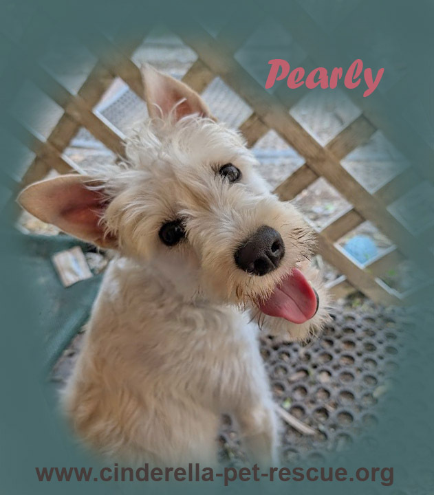 Pearly