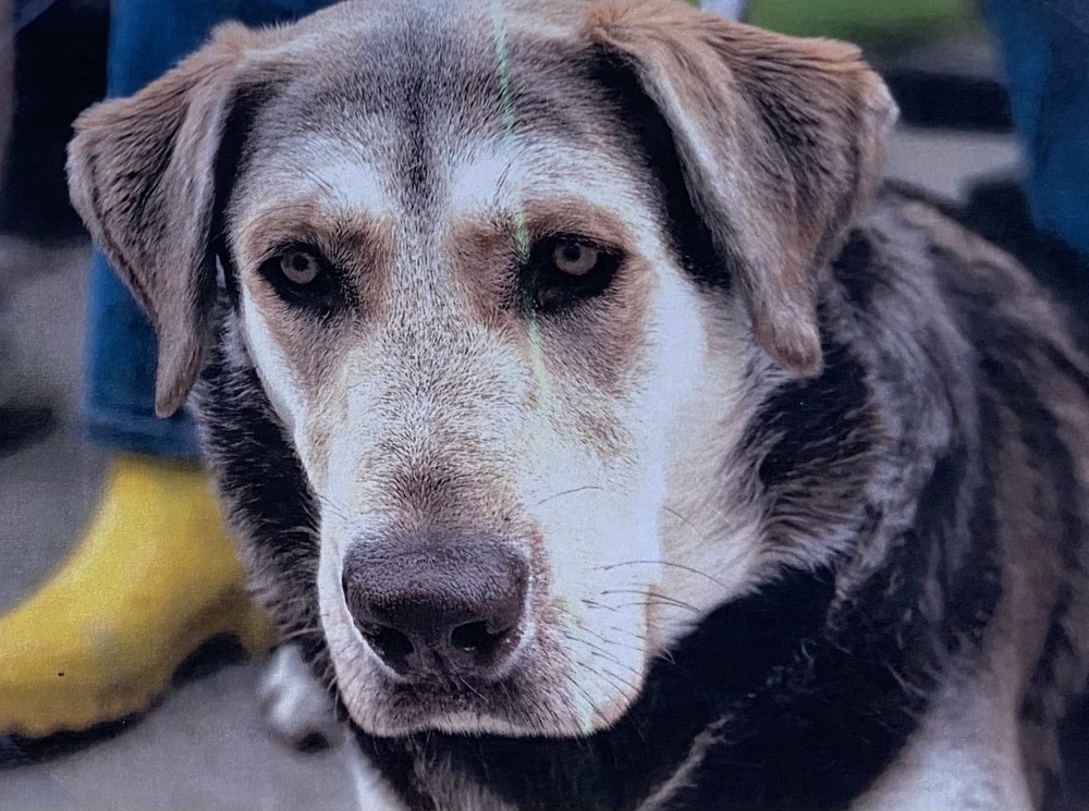 Jax