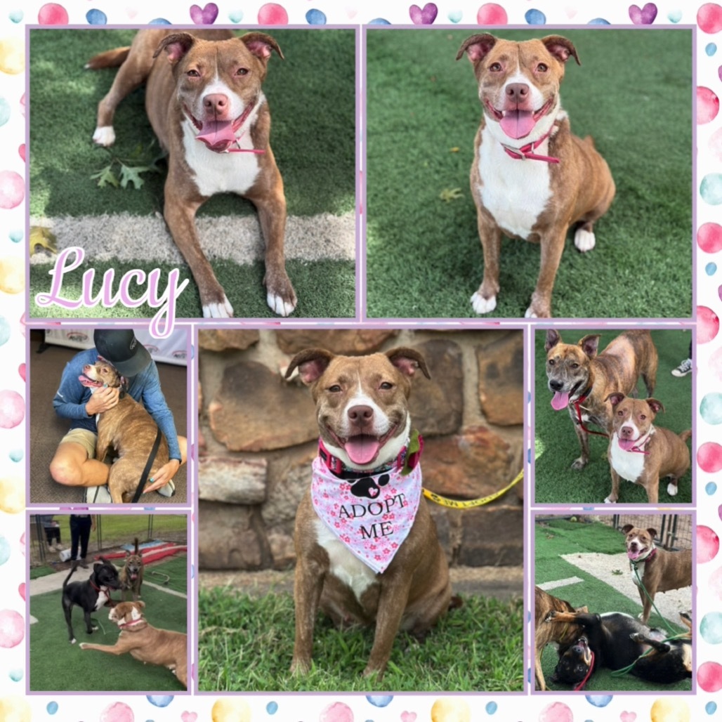 Lucy