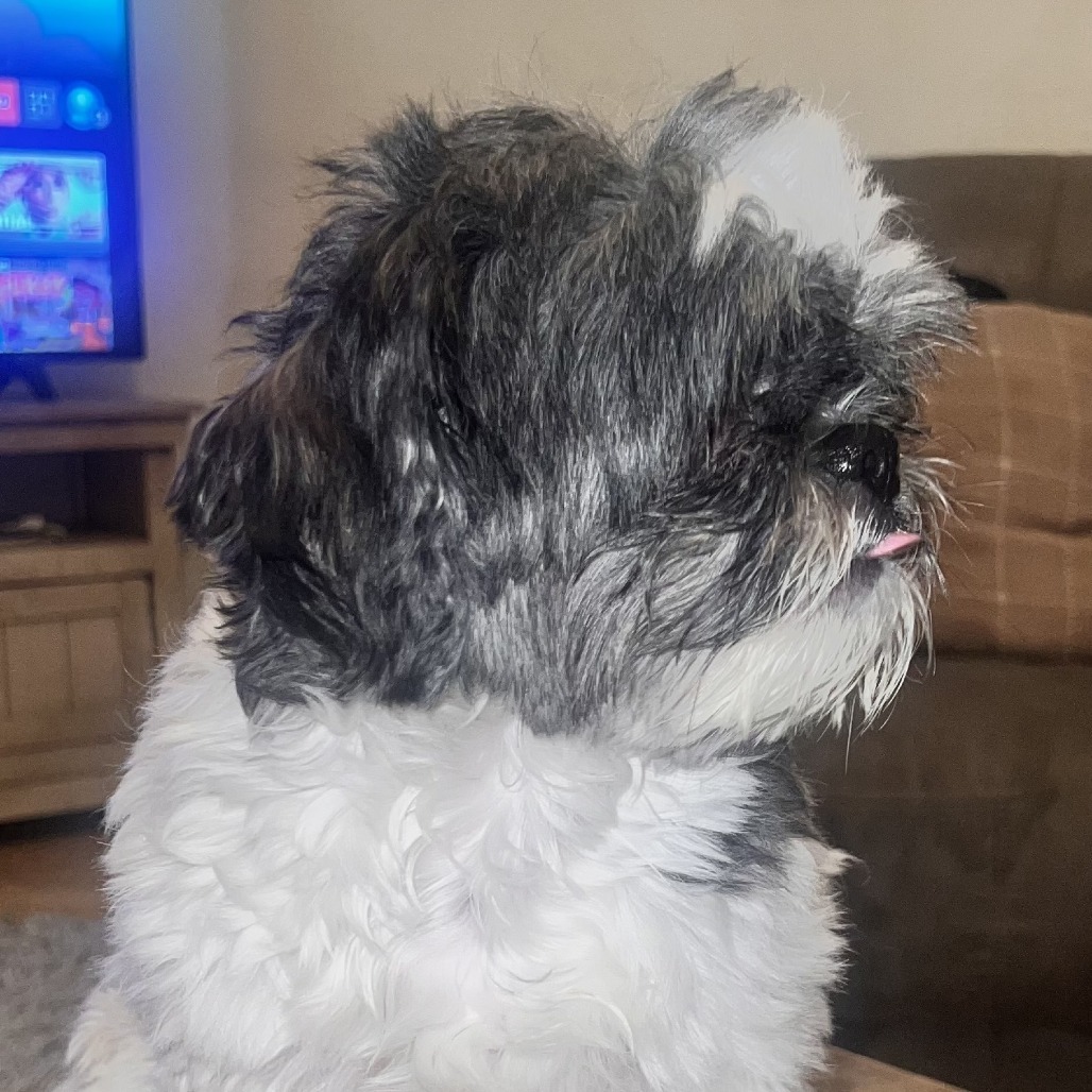 Macy