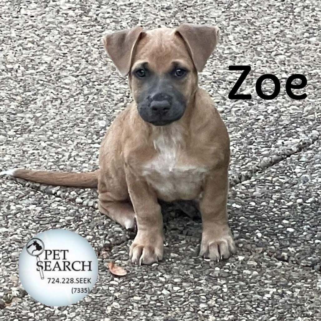 Zoe