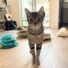 Suki photo 3