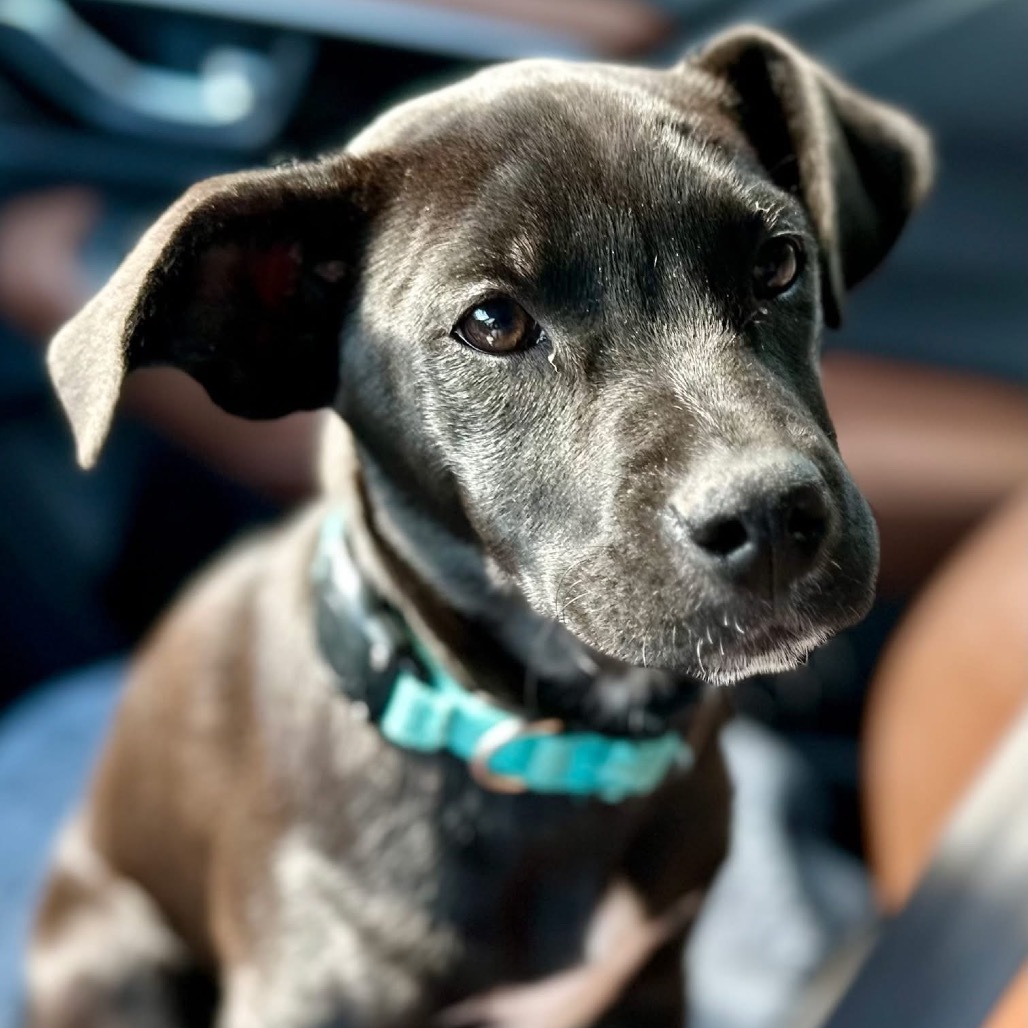 Tilly