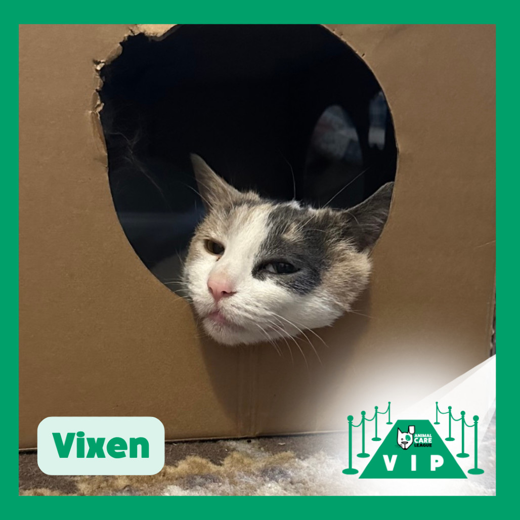 Vixen