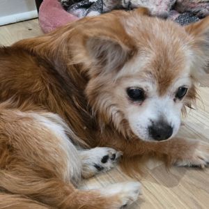 Baco FKA Taco, Senior Male unknown