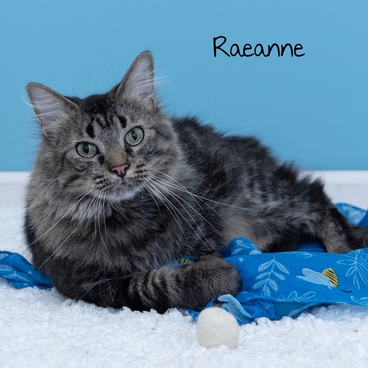 Raeanne