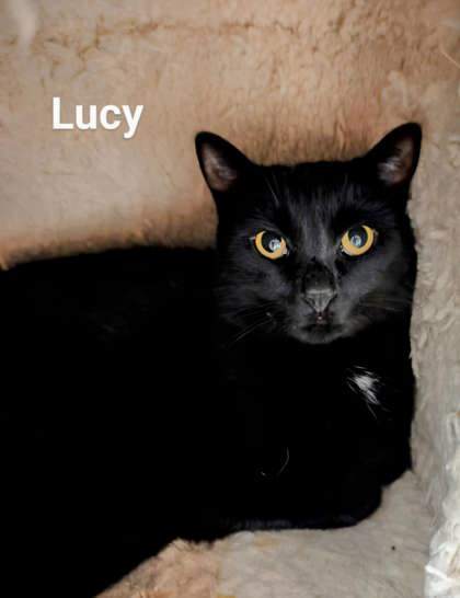 Lucy