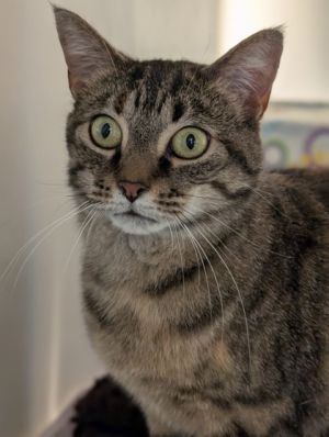 Meet Jay - The Wide-Eyed Wonder with a Heart Full of Love Jay sees the world through big curious ey
