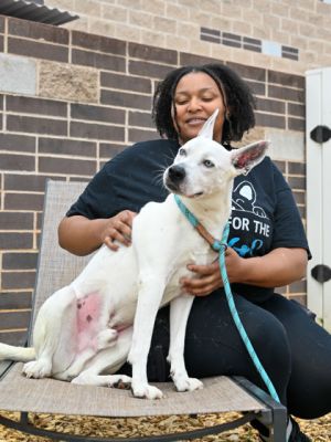 YOSHI DUKE is a lover and a looker He gives kisses a pretty white coat and has expressive radar 