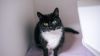 Abby photo 1
