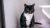 Abby photo 2